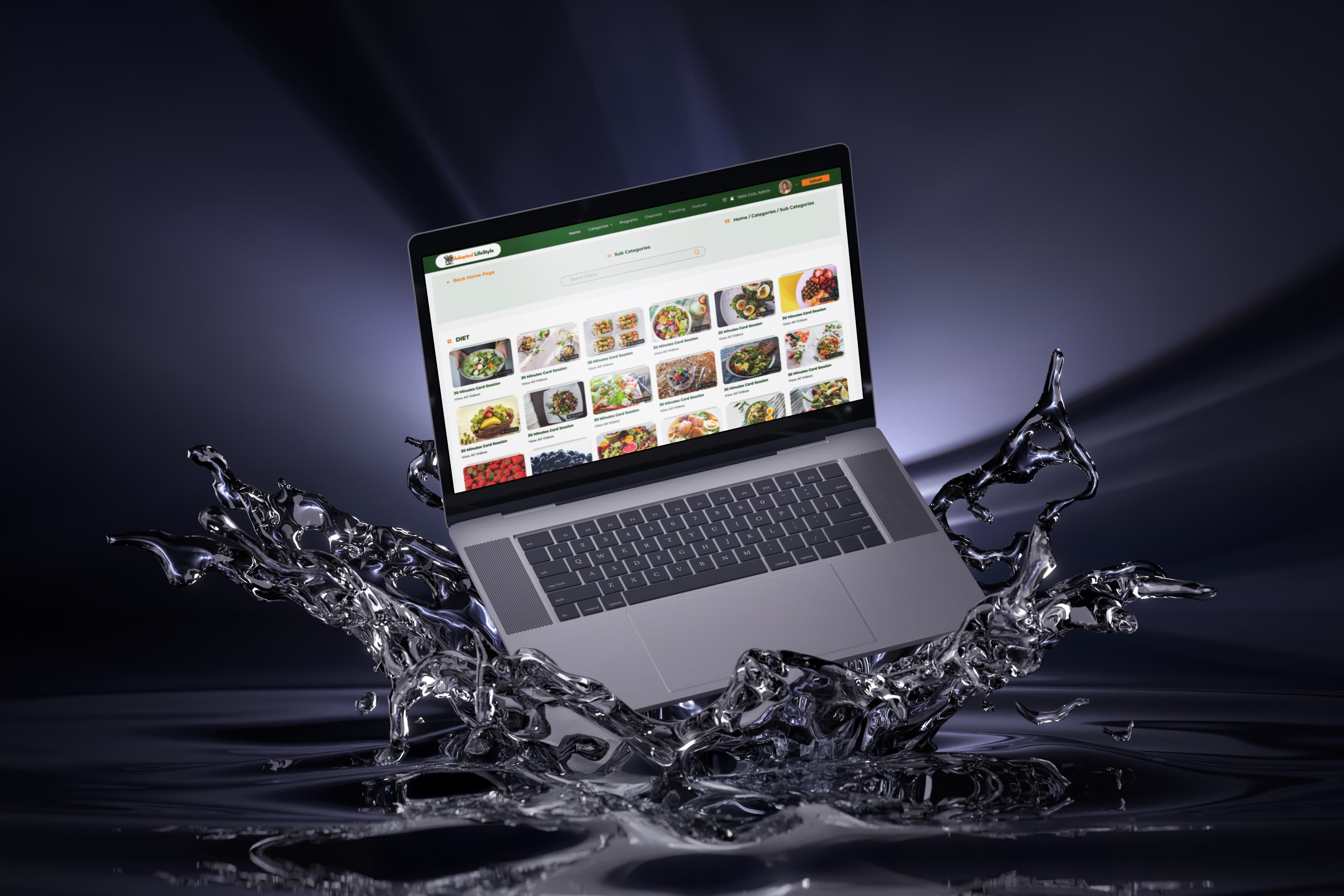 Web Design